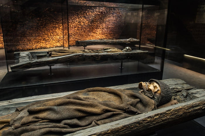 Two of the three corpses found in Borum Eshøj burial mound in Jutland ...