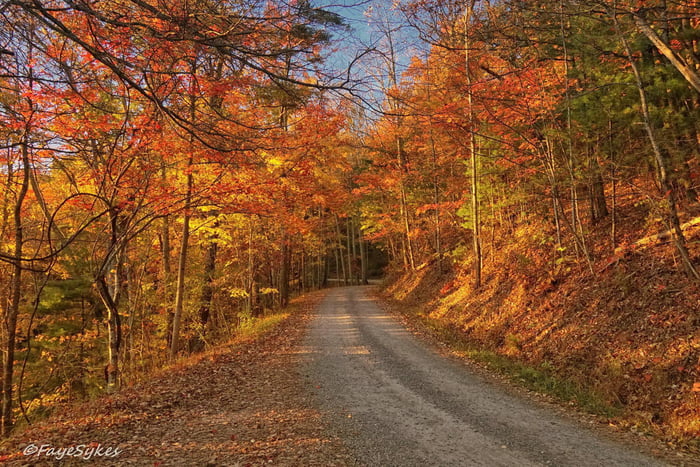 Entering Cades Cove Great Smoky Mountain National Park By Faye Sykes