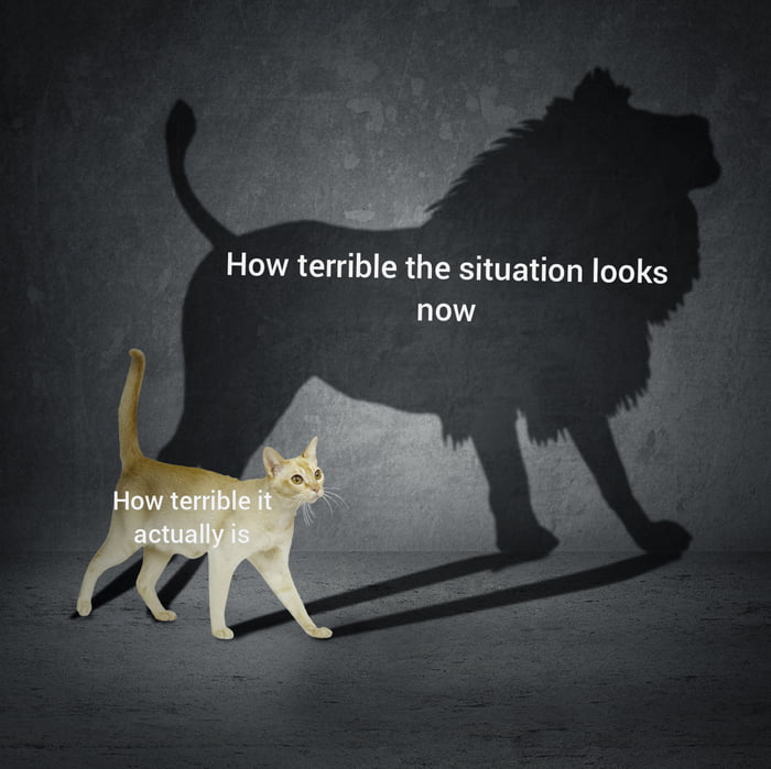 Hang in there soldier 9gag