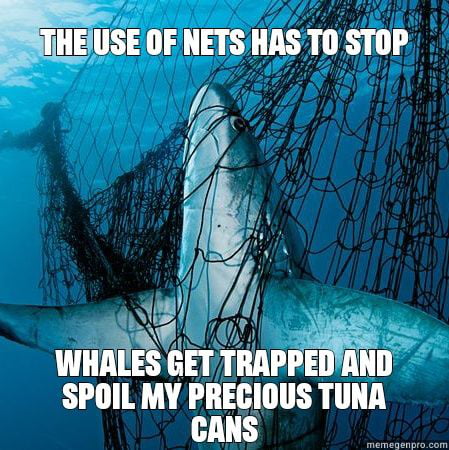 My contribution to overfishing - 9GAG