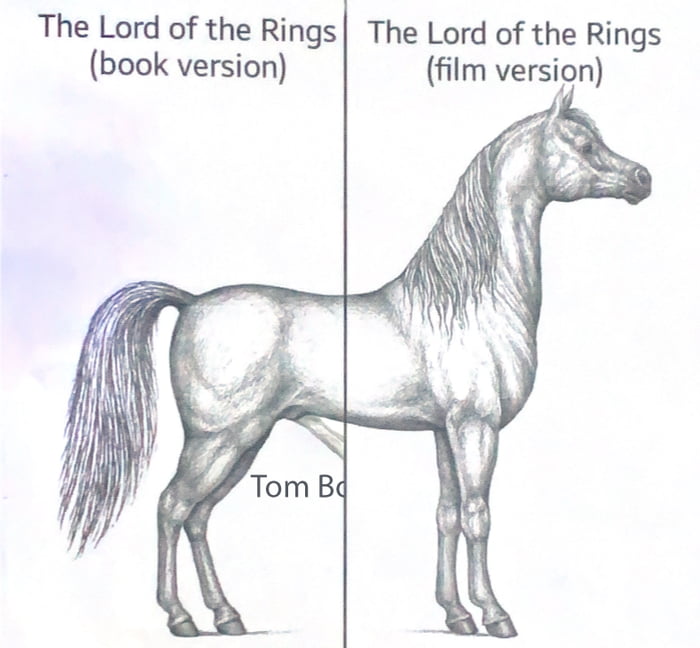 The Lord of the Rings: Return of the King | raymondusrex