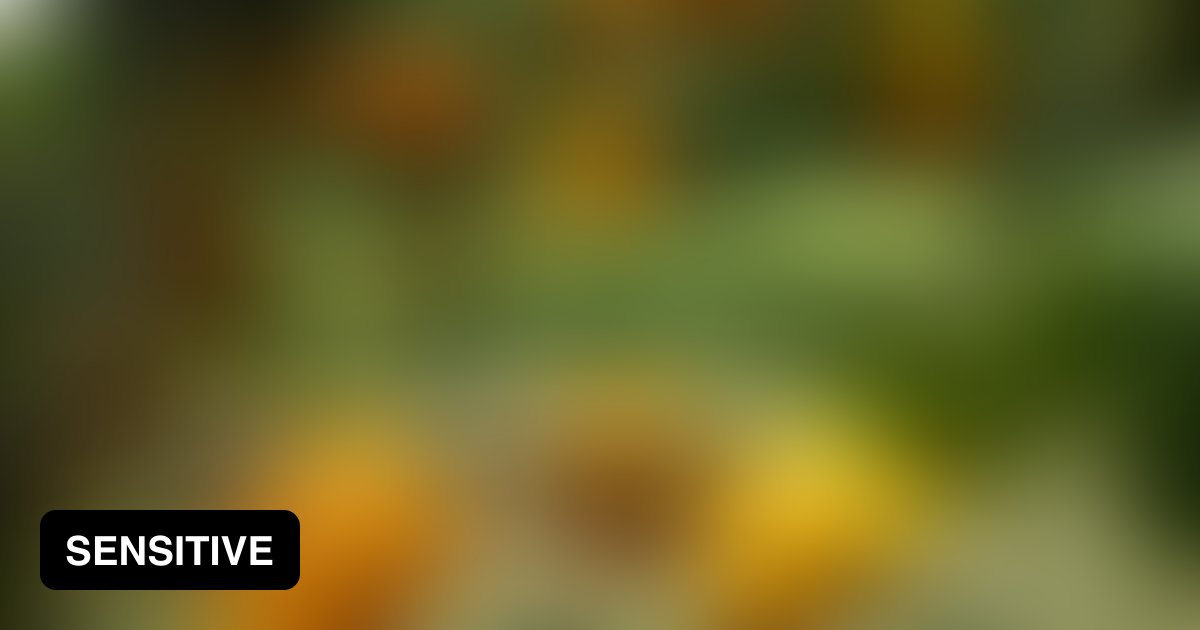 Mammalian nightshade (Solanum mammosum) is a plant that yields a