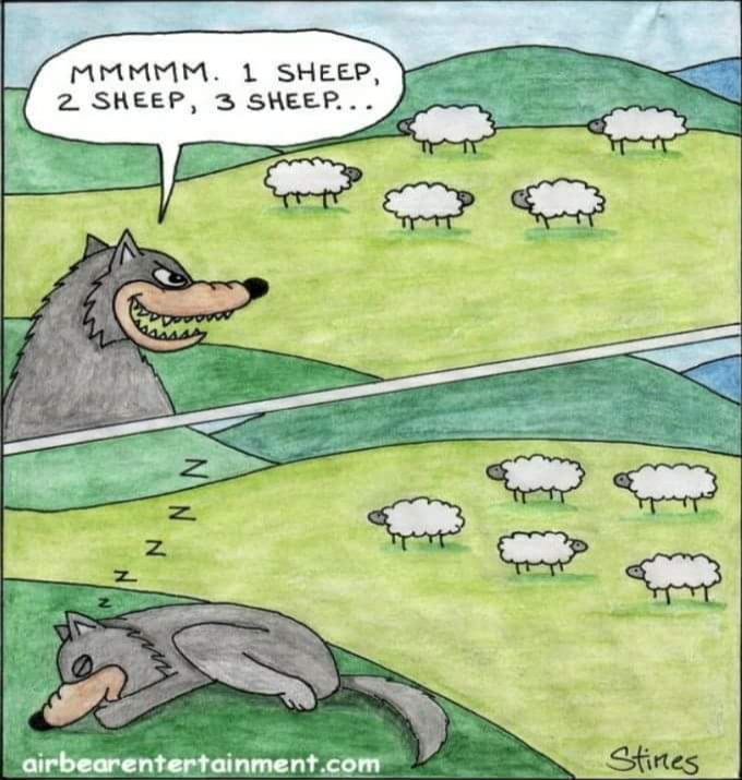 The self defense of sheep's - 9GAG
