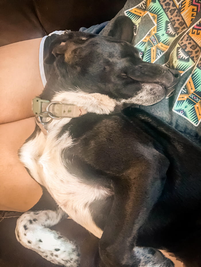The cutest little napper and bestest boy - 9GAG