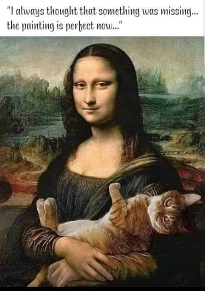 Just add cat and everything is perfect - 9GAG