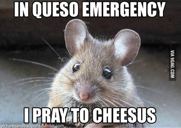 Mexican mouse - 9GAG