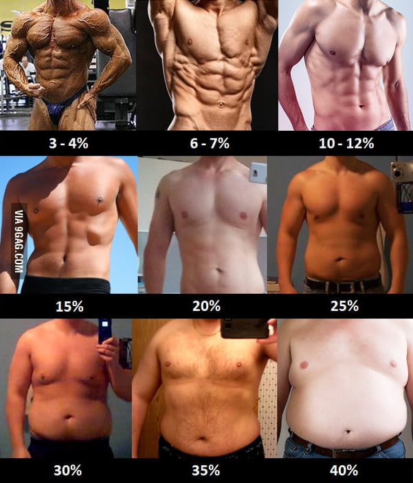 Image result for body fat percentages