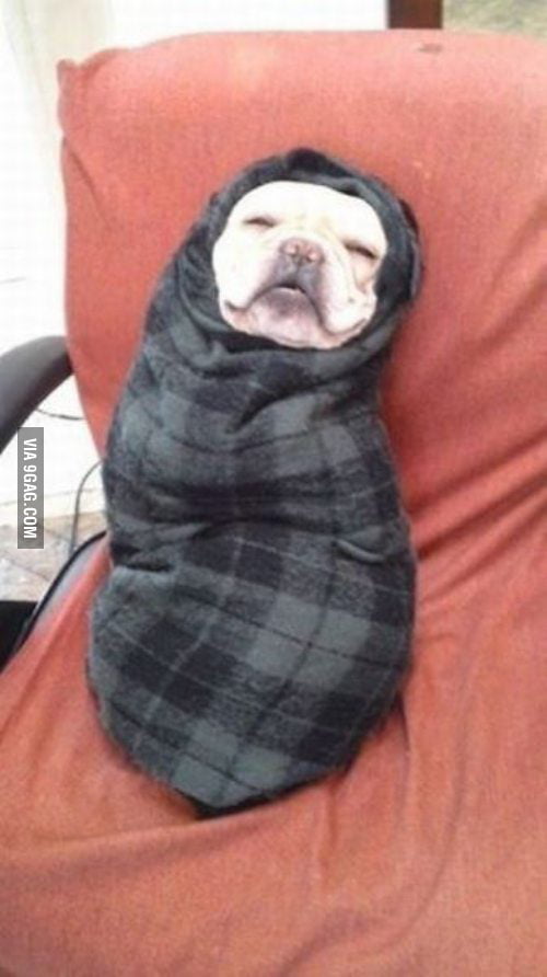 Dat feel - 9GAG