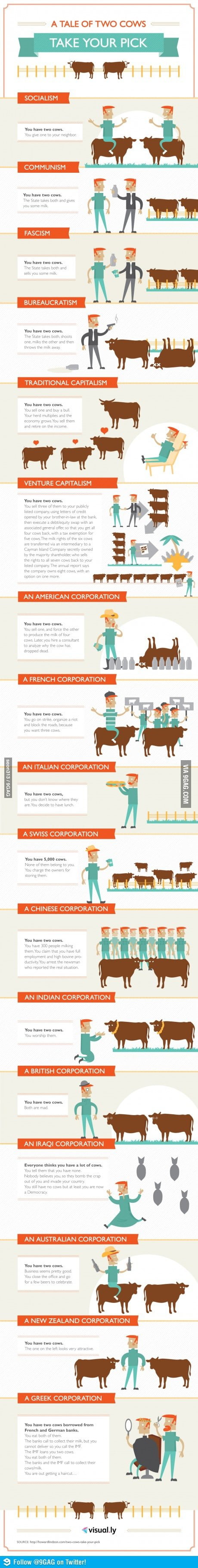 Everything can be explained with cows - 9GAG