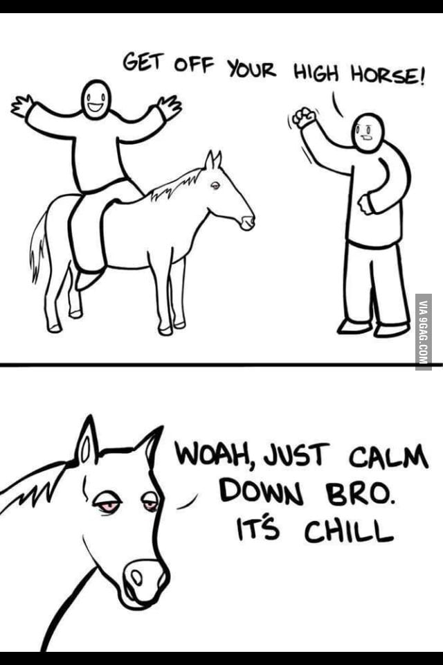 get-off-your-high-horse-9gag