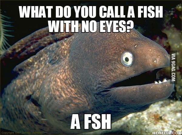 What Do You Call A Fish With No Eyes Reddit