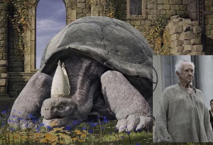 He is turtle now... - 9GAG
