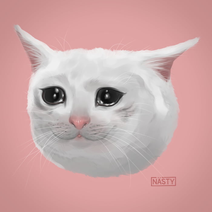 Last catface I will draw for a while ... hence the sad face. 