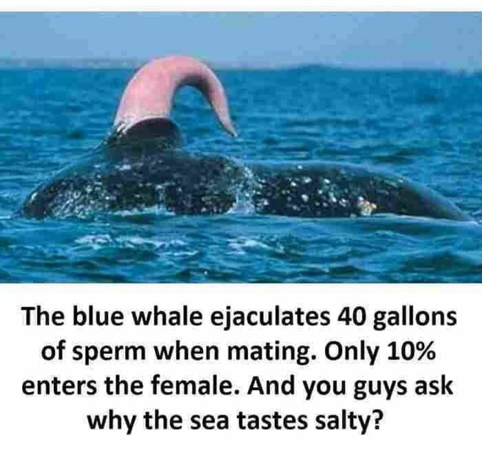 Now you know why the sea is salty - 9GAG