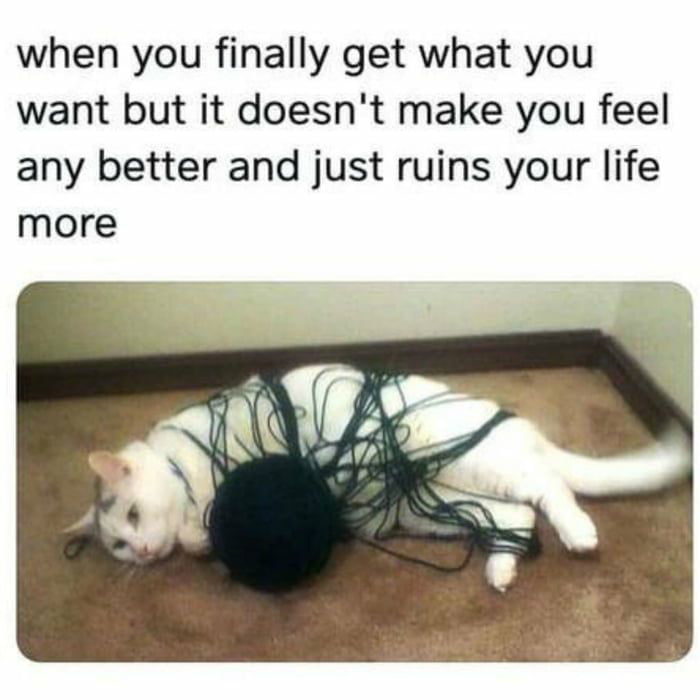 Just read the meme - 9GAG
