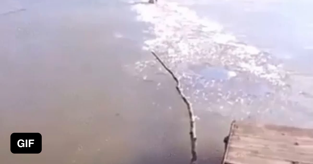 Guy smashes his way through ice lake to save dog - 9GAG