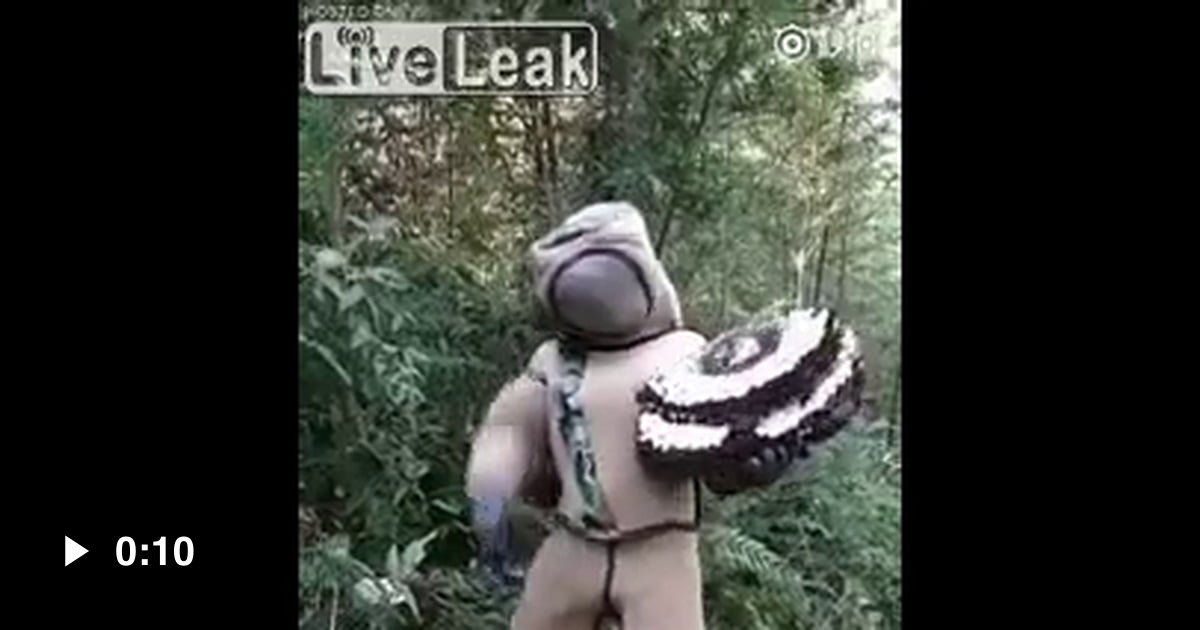 Hornets from hell - 9GAG