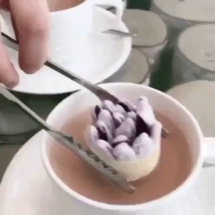 Marshmallow flowers in hot chocolate - 9GAG