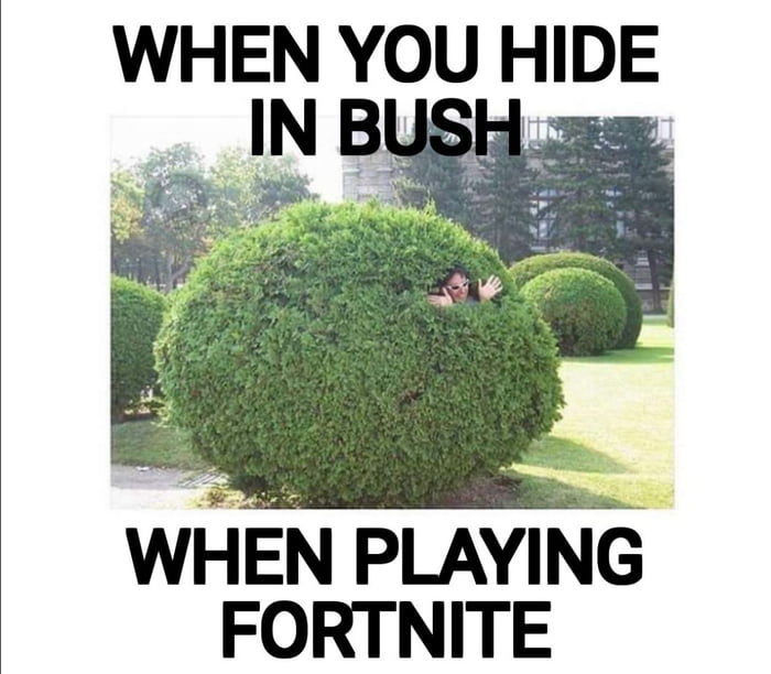 Fortnite Bush Meme | Fortnite Tracker Stats V2 Test - 700 x 612 jpeg 66kB