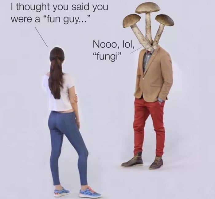 This meme has mushroom for improvement - 9GAG