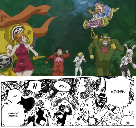 One Piece Manga Vs Anime