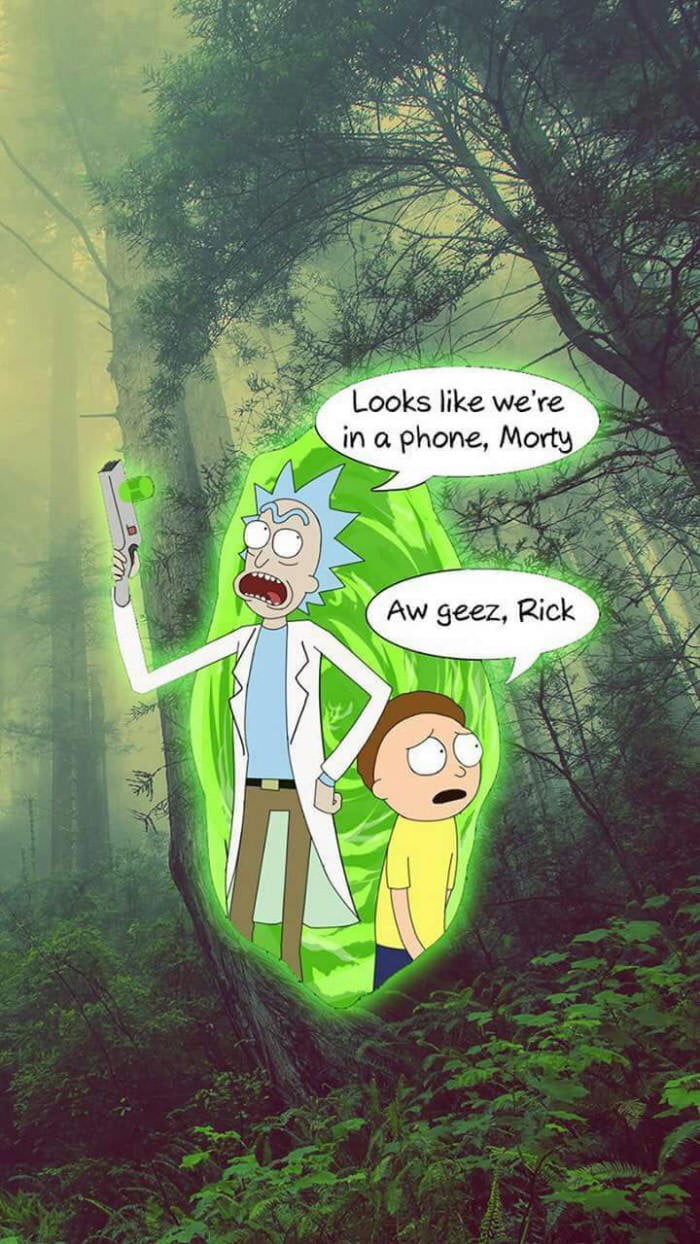 looks-like-we-re-in-a-phone-morty-aw-geez-rick-9gag