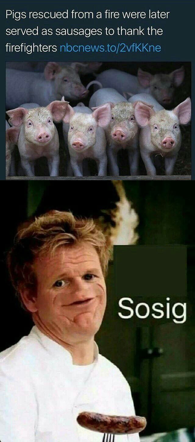 Sosig meme - 9GAG