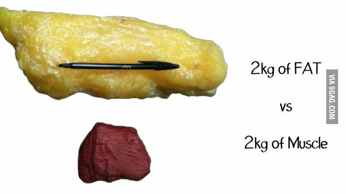2kg Of Fat Vs 2kg Muscle 9GAG