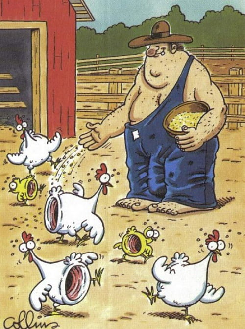 Chester The Molester Cartoon Pictures