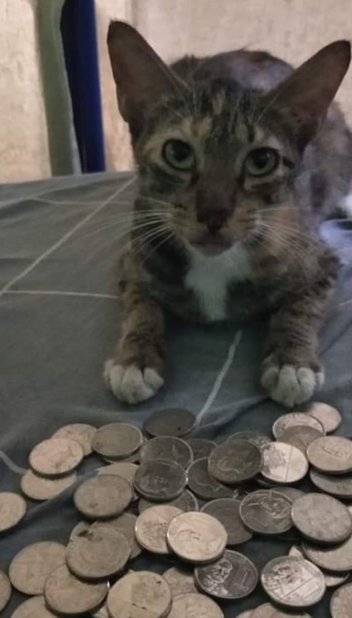 Khajiit has wares if you have coin. - 9GAG