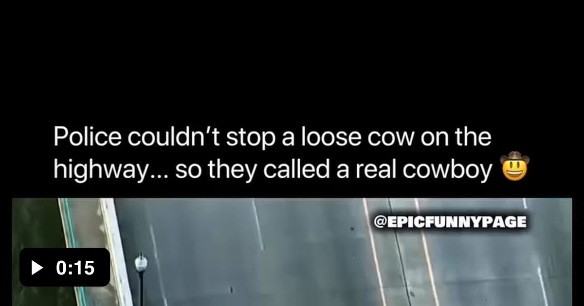 Just a normal day on the highway, nothing to see here, just a cowboy ...