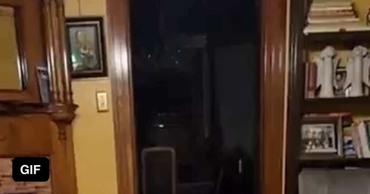 Dog walking around your house at night 9GAG