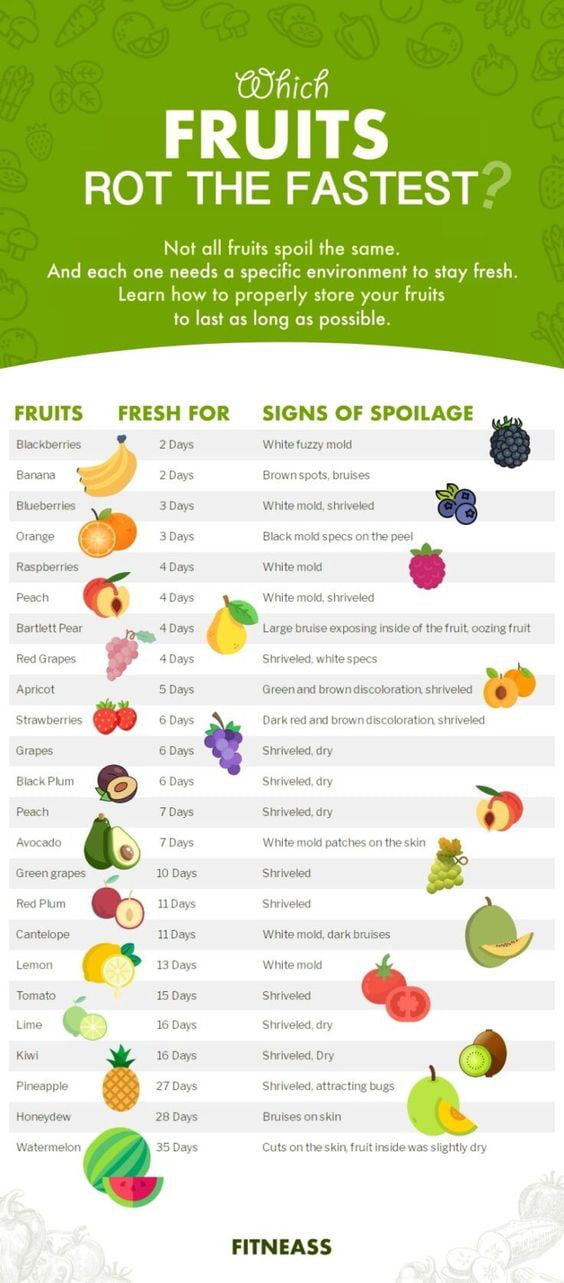 A Cool Guide to Which Fruits Rot the Fastest - 9GAG