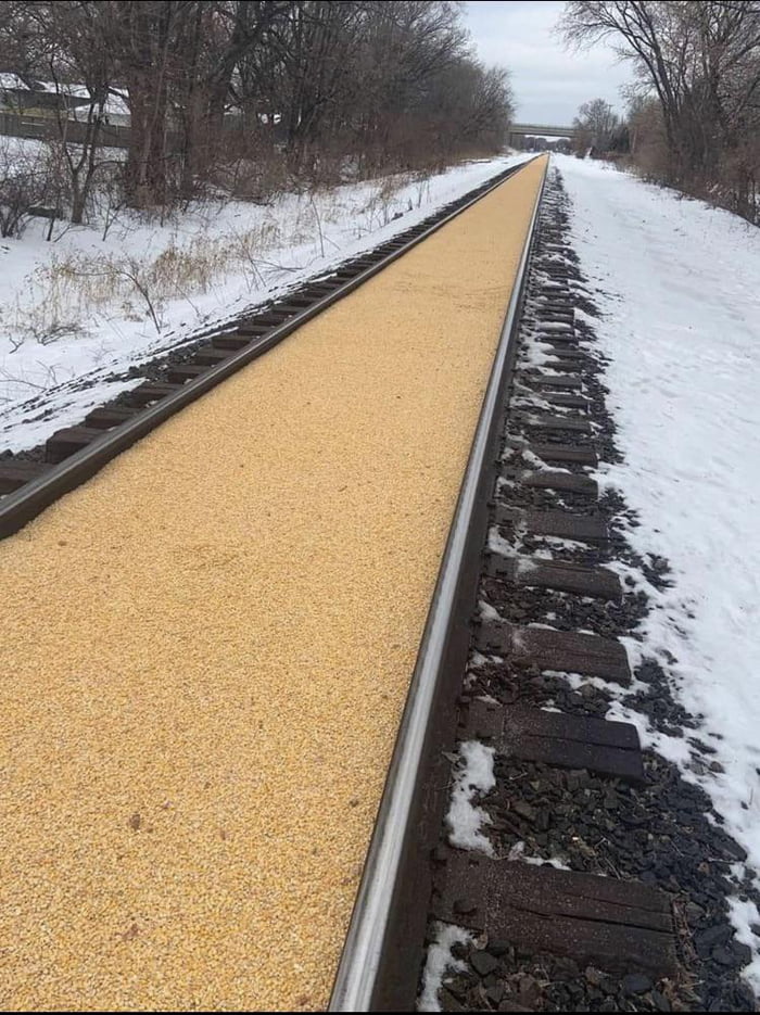 A train car in Minnesota carrying corn had a leak 9GAG