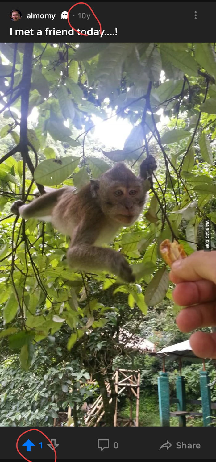 Today my first post 10th anniversary, and my first like! - 9GAG