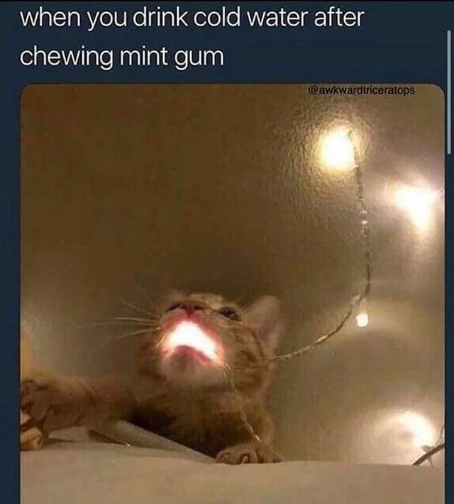 Or after brushing your teeth 9GAG