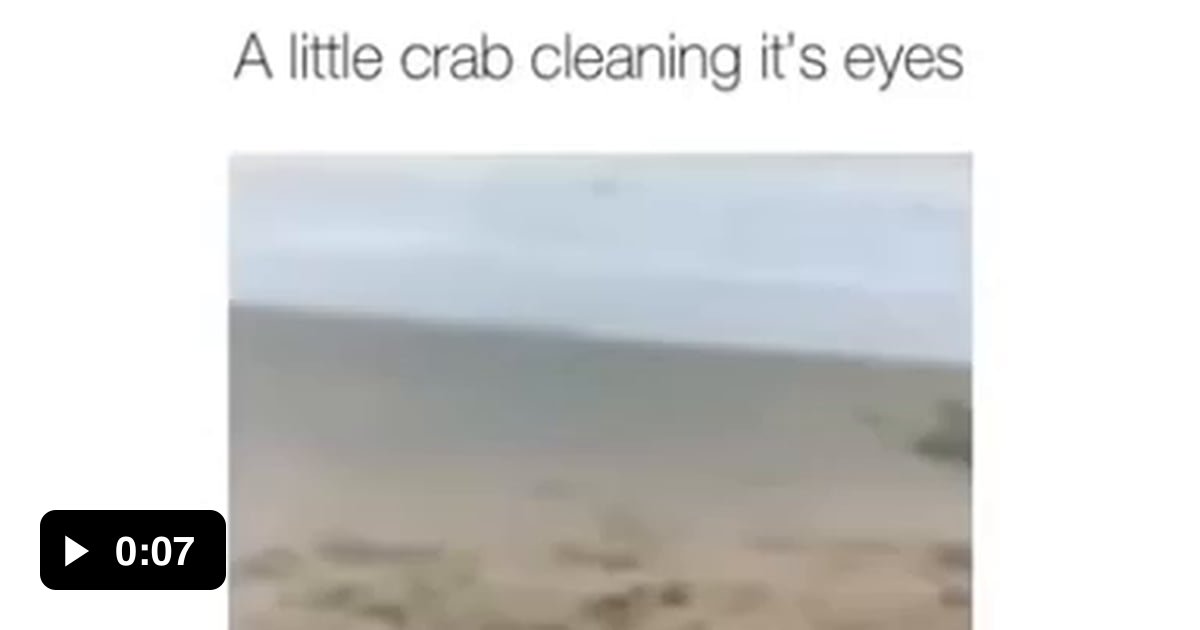 This crab cleaning its eyes 9GAG