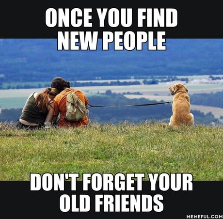 find old friends and meet new
