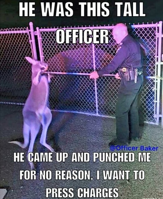 Hello Officer - 9GAG