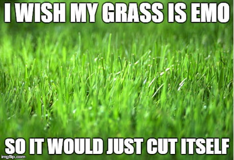Emo Grass 9gag