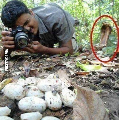 When you should buy a longer lens 9GAG