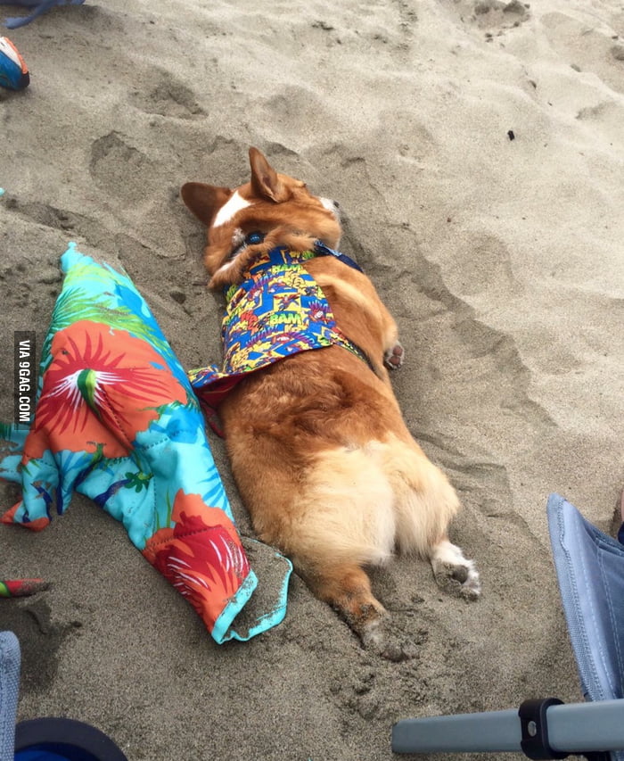 Something tells me Marvin wore himself out at the beach. - 9GAG