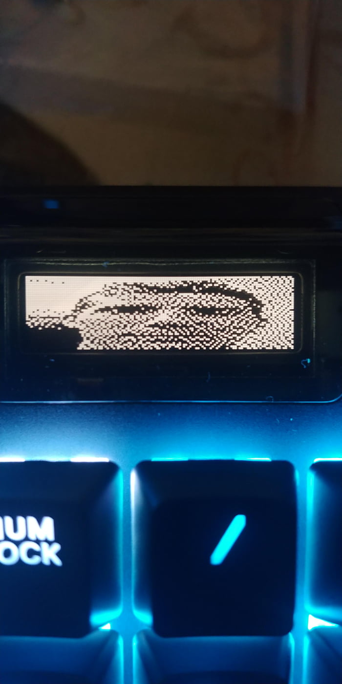 Got A Steelseries Apex Keyboard With An Oled Screen There Was One Option On How To Customize It 9gag