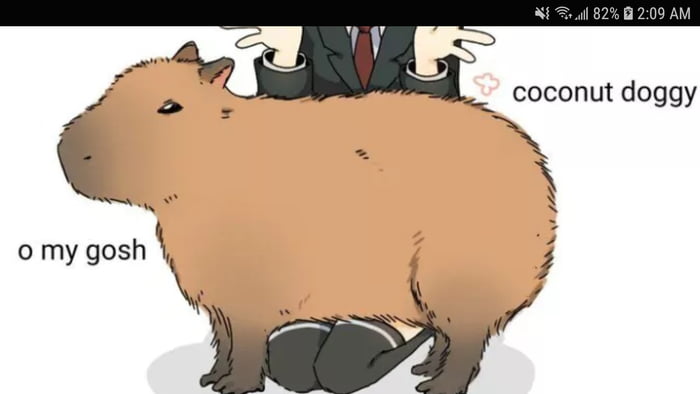 Capybara Song | Meme - Apps on Google Play