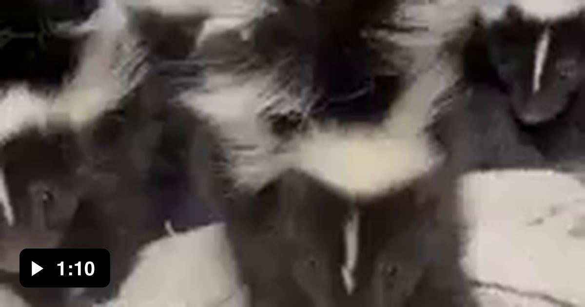 There Is That One Friend 9gag