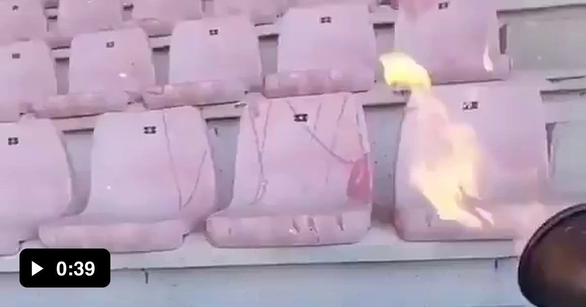 Restoring sunbleached stadium seats. 9GAG