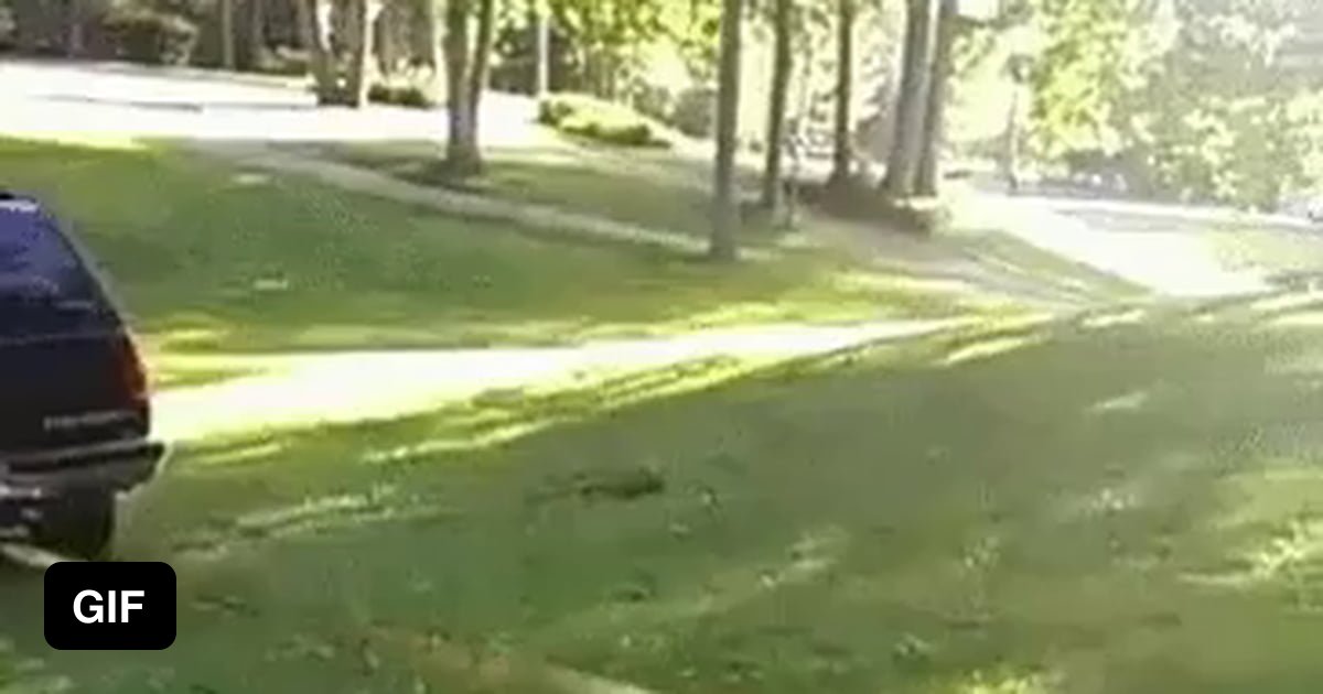 This driver using a vechile to pull out a stubborn tree stump. 9GAG