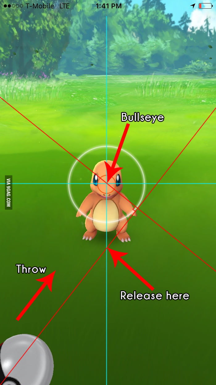 This Is How You Throw The Perfect Pokeball 9GAG