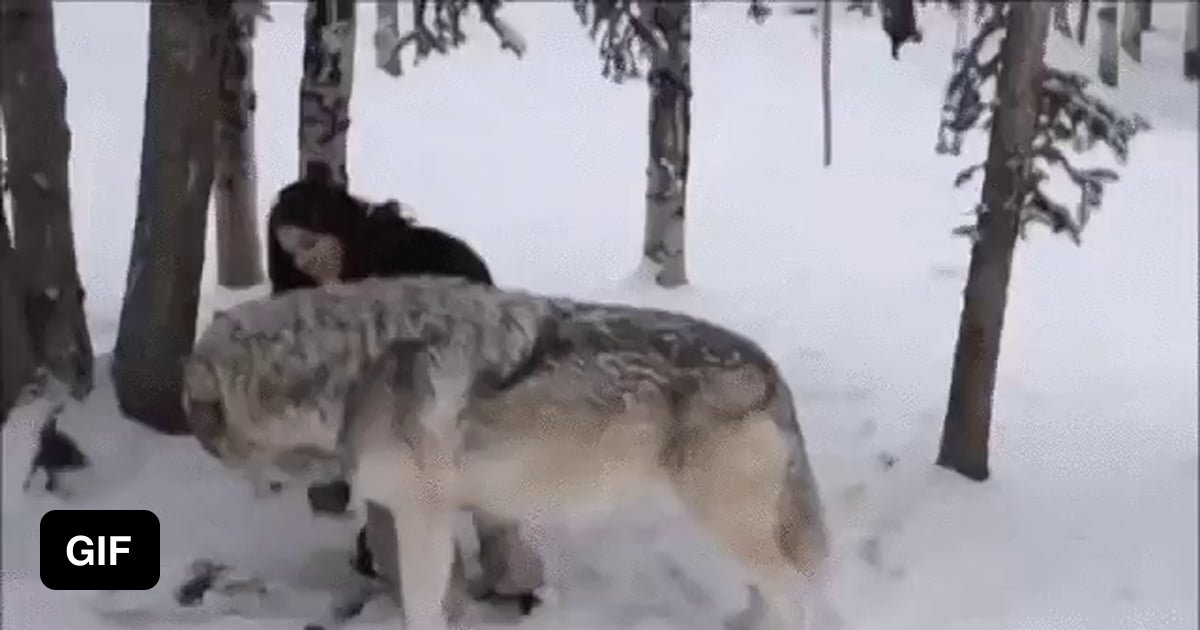 A girl and her wolf - 9GAG