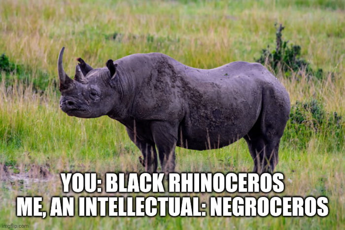 Black rhinoceros lives matter (BRLM) - 9GAG